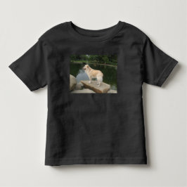 Camiseta Um Cão Em Um Lago