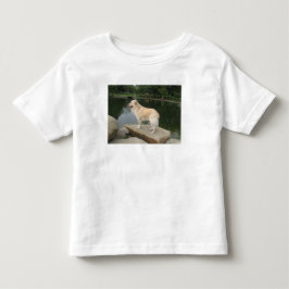 Camiseta Um Cão Em Um Lago