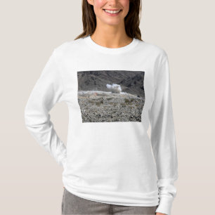 Camiseta Um círculo de uma lança-foguetes AT-4 pequena