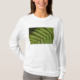 Camiseta Um detalhe de samambaia, da Mindo Cloud Forest,