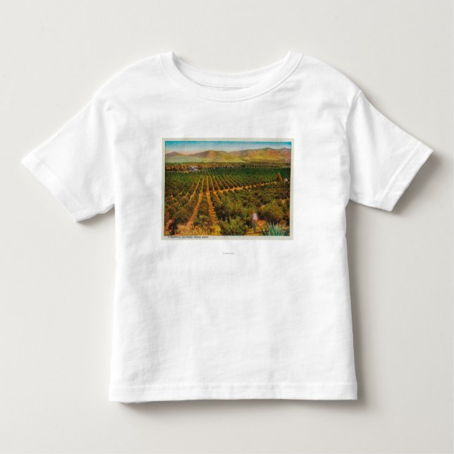 Camiseta Um GroveState alaranjado bonito (Frente)