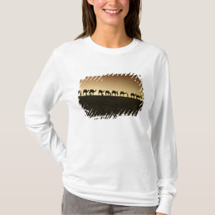 Camiseta Um grupo de pastores de camelos com seus camelos