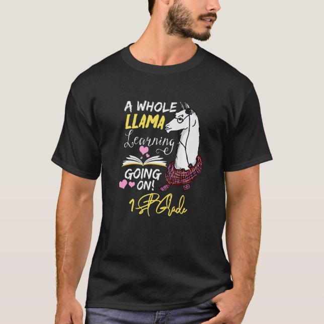 Camiseta Um Llama Inteiro Aprendendo em 1ª Série (Frente)