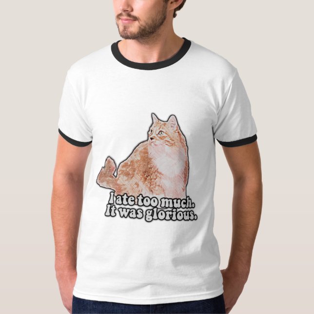 Camiseta Um meme engraçado de gato ranzinza para amantes de (Frente)