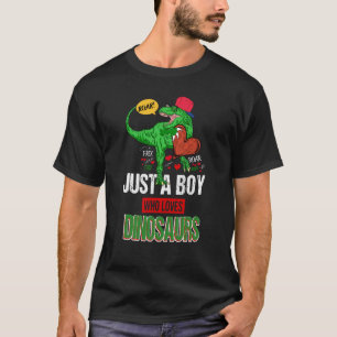 Camiseta Um Menino Que Ama Dinossauros Para Meninos Homens