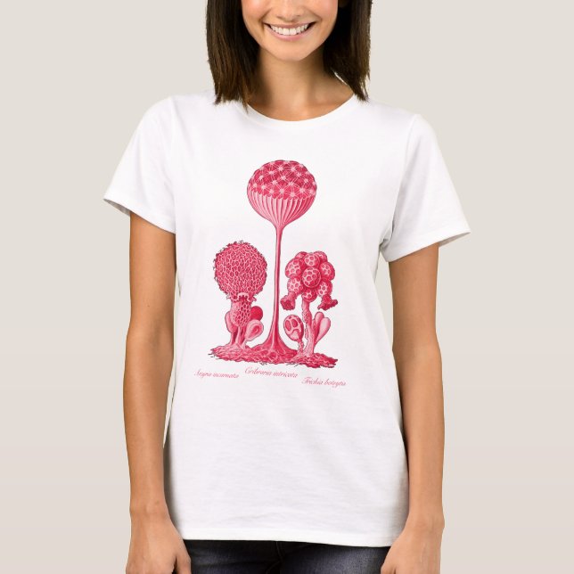Camiseta Um molde de limo (Frente)