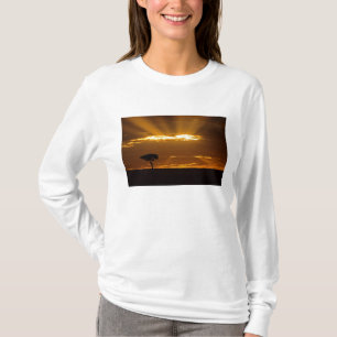 Camiseta Um nascer do sol com a boca aberta no Maasai Mara