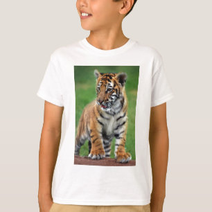 Camiseta Um tigre de bebê bonito