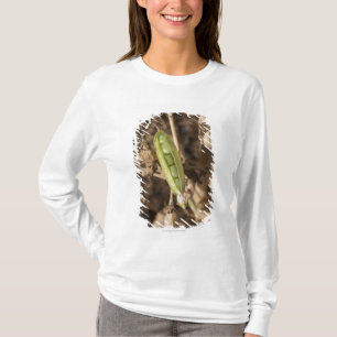 Camiseta Um vagem de ervilha verde em uma planta secada do