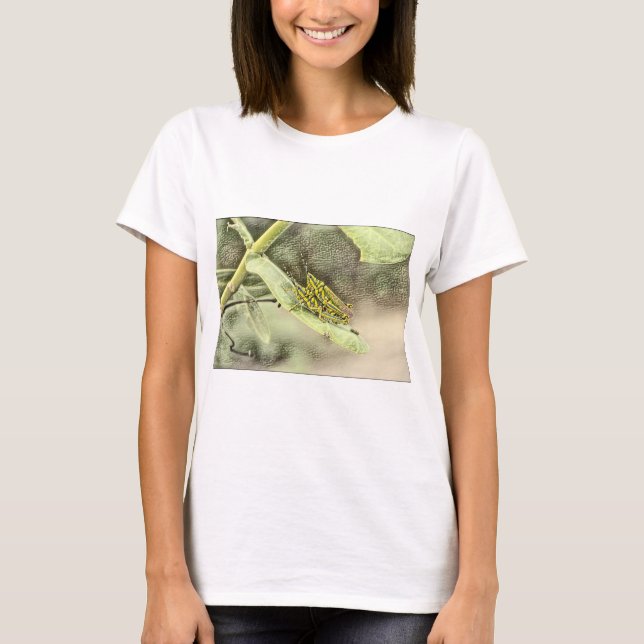 Camiseta  Uma Agulha na pilha Haystack (Frente)