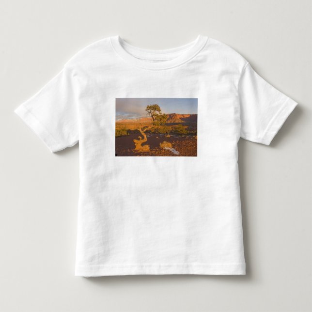 Camiseta Uma árvore de Juniperus osteosperma em (Frente)