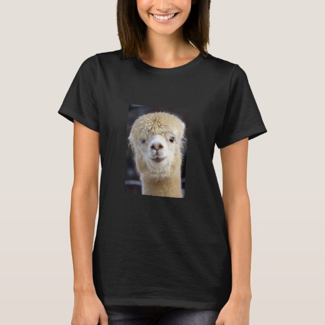 Camiseta Uma carinha fofa e fofa de uma alpaca (Frente)