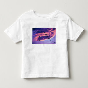 Camiseta Uma composição fotográfica de grous-da-sibéria em