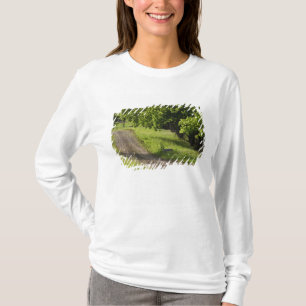 Camiseta Uma estrada rural em Ipswich, Massachusetts.