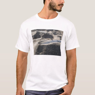 Camiseta Uma exposição estática de um escudo da ordenan