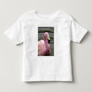 Camiseta Uma foto de um Flamingo Andino em cativeiro