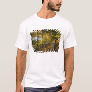 Camiseta Uma passarela de madeira no Parque Nacional Acadia