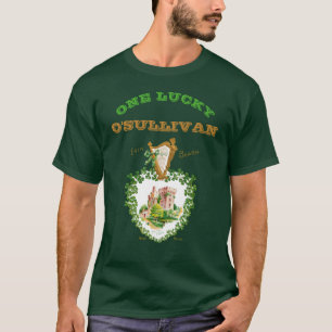 Camiseta Uma Sorte Seu Nome Dia de São Patrício Blarney Cas