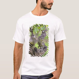 Camiseta Uma videira muito antiga na vinha Clos de l'Echo