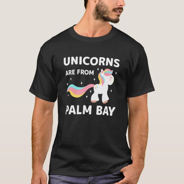 Camiseta Unicórnios São De Palm Bay Florida Residente Fl Lo (Frente)