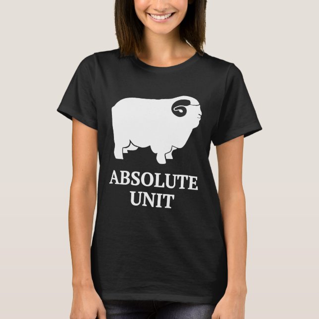 Camiseta Unidade Absoluta (Frente)