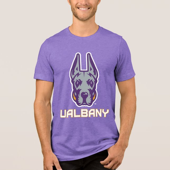 Camiseta Universidade de Albany Great Danes (Frente)