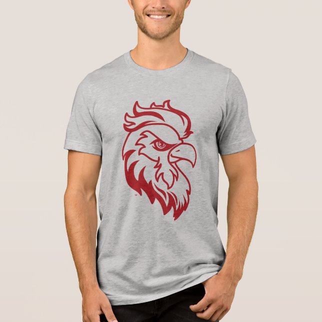 Camiseta Universidade Estadual de Jacksonville Gamecocks Jo (Frente)