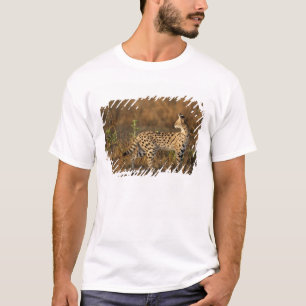 Camiseta Upper Mara, Reserva de Caça Masai Mara, Quênia,