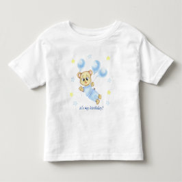 Camiseta Urso de pelúcia personalizado para o primeiro aniv