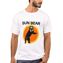 Urso de Sun