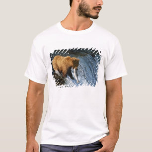 Camiseta Urso Marrom do Alasca captando salmão em Brooks