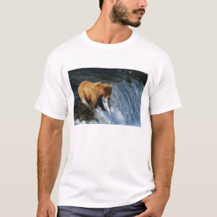 Camiseta Urso Marrom do Alasca captando salmão em Brooks