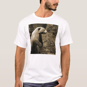 Camiseta Urso Ordenado