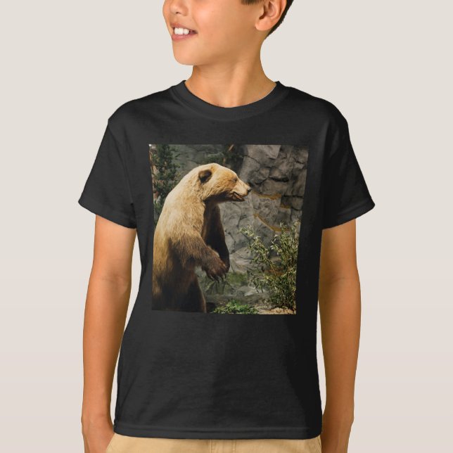 Camiseta Urso Ordenado (Frente)