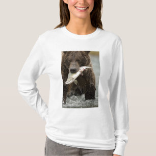Camiseta Urso pardo, ou Urso Cinzento Costeiro, Ursus