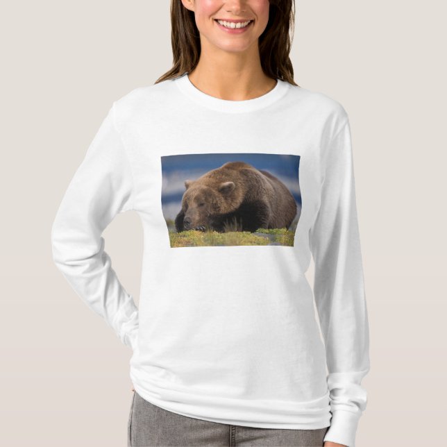 Camiseta Urso pardo, urso cinzento, tirando uma soneca, Kat (Frente)