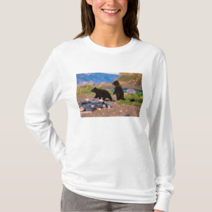 Camiseta Urso Pardo, Ursus arctos, Península do Alasca,