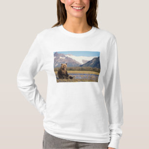 Camiseta urso pardo, Ursus arctos, urso cinzento, Ursus