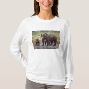 Camiseta urso pardo, Ursus arctos, urso cinzento, Ursus 3