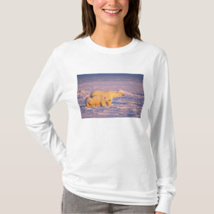 Camiseta Urso polar com filhotes de primavera no congelado