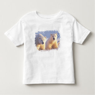 Camiseta Urso polar com porca com cubo no gelo