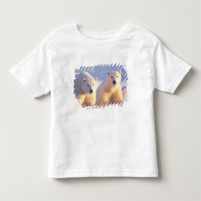 Camiseta Urso polar com porca com cubo no gelo (Frente)