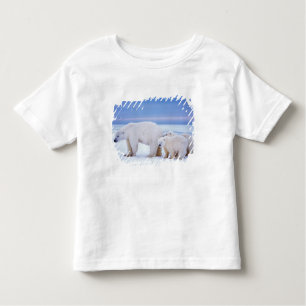 Camiseta Urso-polar com porcas