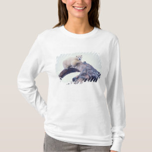 Camiseta Urso polar em cima de uma mandíbula de baleia de c