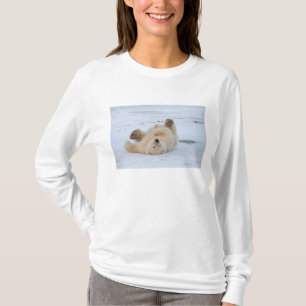 Camiseta urso polar, Ursus maritimus, filhote rolando 3
