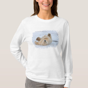 Camiseta urso polar, Ursus maritimus, filhote rolando 3