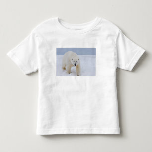 Camiseta urso polar, Ursus maritimus, no gelo e neve,