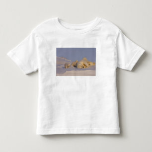 Camiseta urso polar, Ursus maritimus, porca brincando