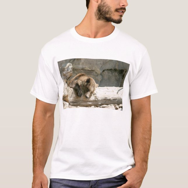 Camiseta Urso preguiçoso (Frente)