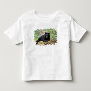 Camiseta Urso preto em um tronco de crescimento antigo na
